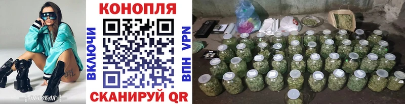 Канабис гибрид  хочу   Беслан 